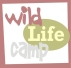 faded camp logo